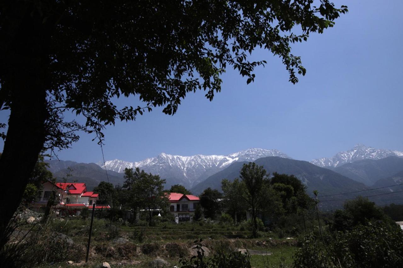 Harmony Blue Mcleodganj Hotel McLeod Ganj Exterior photo